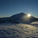 Orzechowy